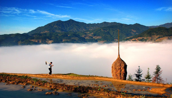 db羺¼»ȵﾰɹ걨ȫҪũҵĻŲ